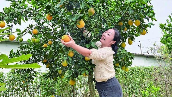 涓水畔，炊烟起——刘艳辉的十年乡野创业路