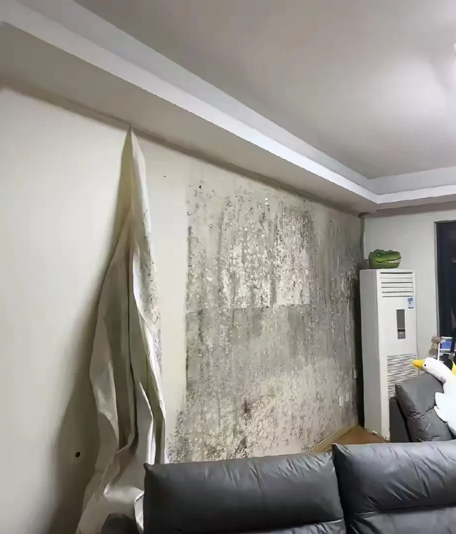 手贱的我 把墙布撕下来了 现在怎么办啊