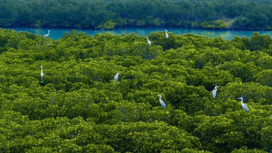 2025广汽本田社会责任图鉴：左手绿意盈岸，右手安全满途