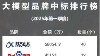 科大讯飞：2025上半年大模型市场双冠王