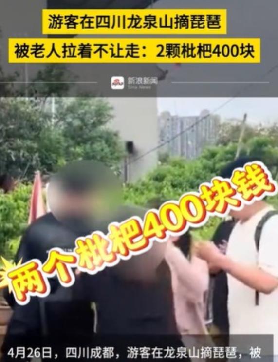 “两颗枇杷400元！”四川龙泉山，几个游客来游玩，看到面前的枇杷，金黄金黄的，很