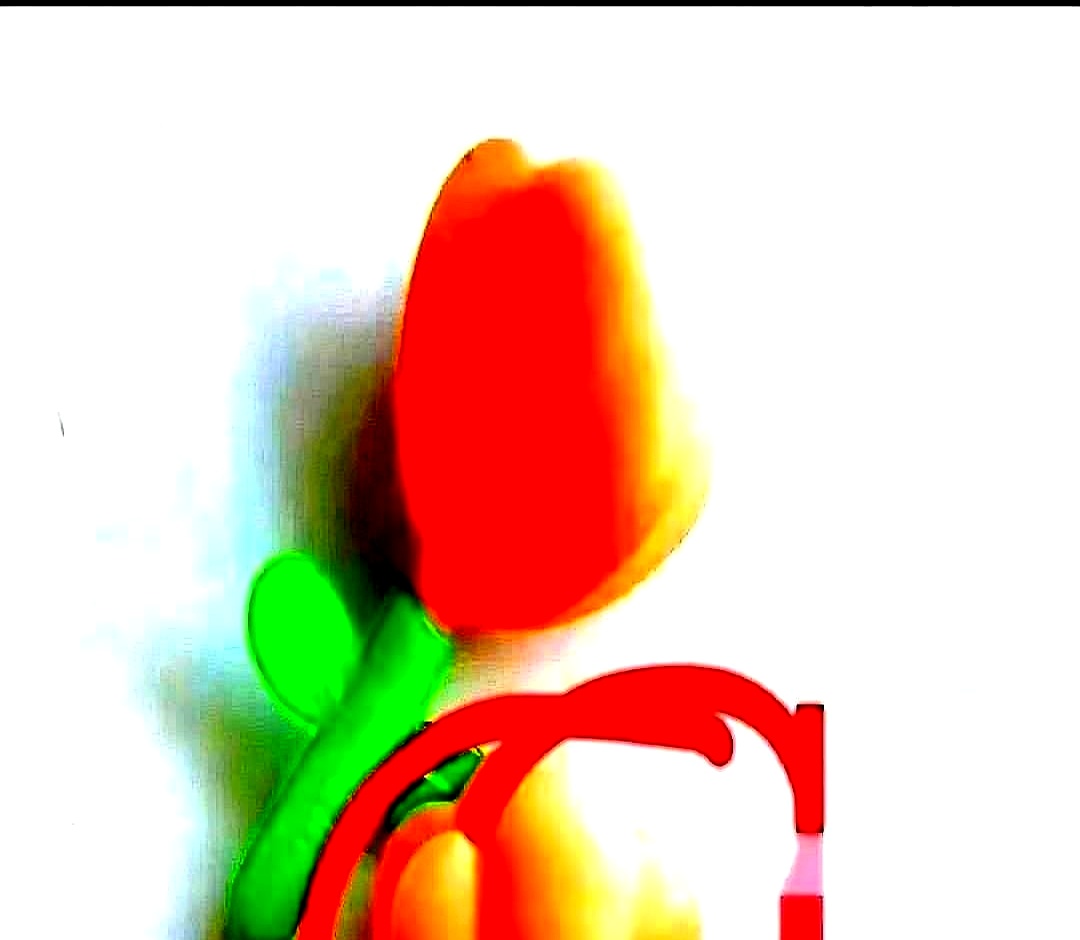 一年没行动，和老公去药店买套套。本是件再普通不过的事儿，却被赠品抢了风头。

