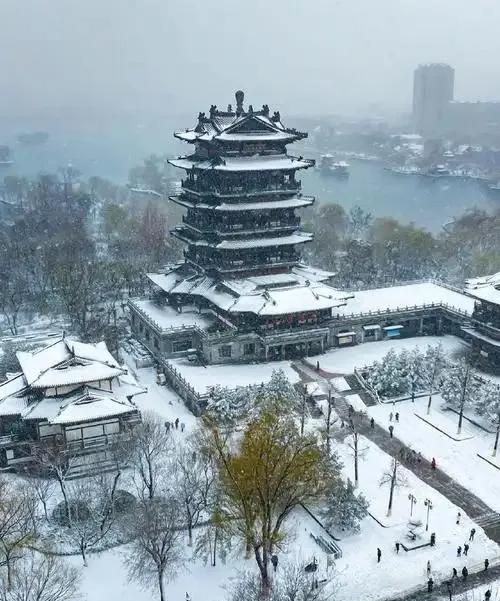 济南这雪，下得“不讲武德”
家人们，谁懂啊！3月2日，济南这场雪简直杀疯了，直接