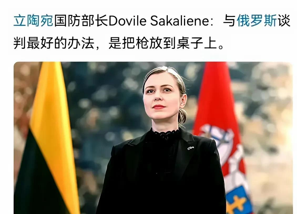 “与俄罗斯谈判最好的办法，是把枪放在桌上”。这话要是美国说的，大家可能都觉得很正