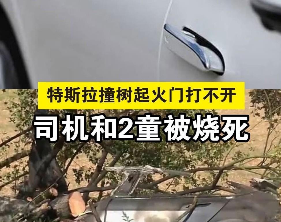 据外媒报道，德国本月7日发生一起严重车祸，一辆特斯拉电动车撞树后起火燃烧，救援人