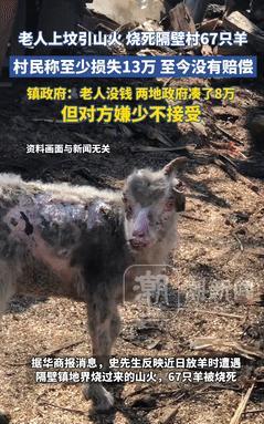[兔子]老人上坟引发山火，烧死村民67只羊！老人要钱没有要命一条，政府无奈凑了8