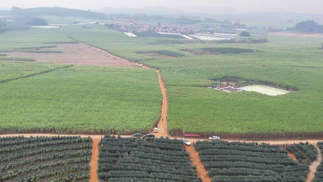 绿色营养 蔗里丰收——中国海油化学 粮安中国万里行