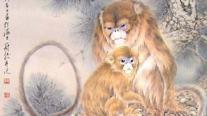 生肖猴，2025年12月运势上佳，生肖鸡，狗谨防小人！