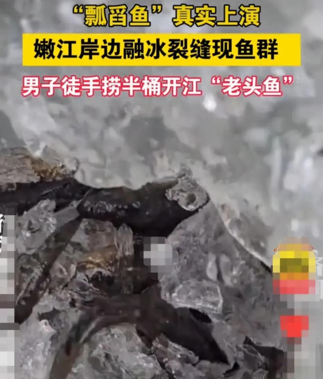 春暖花开，万物复苏，黑龙江嫩江边上，也融开了一条小缝隙。
男子沿着这条缝隙走了没