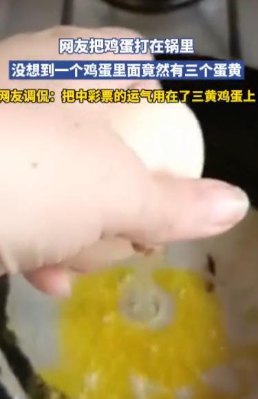 “开眼界了！”10月20日，河南，一女子随手拿起一个鸡蛋准备煎着吃，没想到这个鸡
