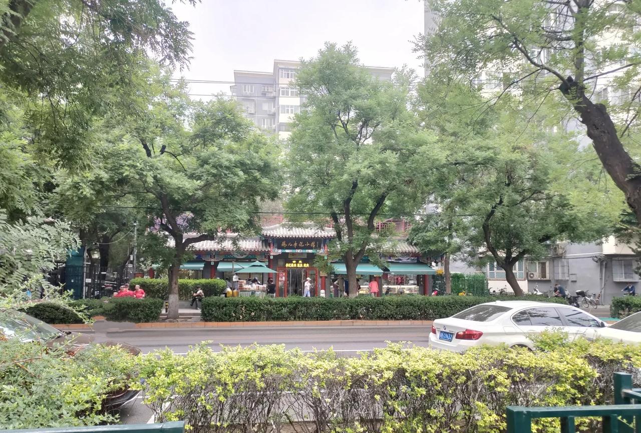 #记录我的2025#
雨来了！
来势凶猛，说来就咵的一下就下来了！
听这哗哗的雨