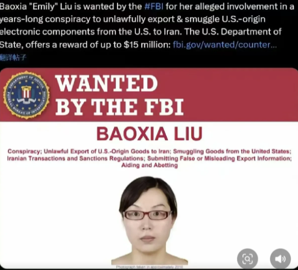美国胆敢通缉中国人，而且还是根据美国的“法律”。
    不知道刘宝霞回国了没有