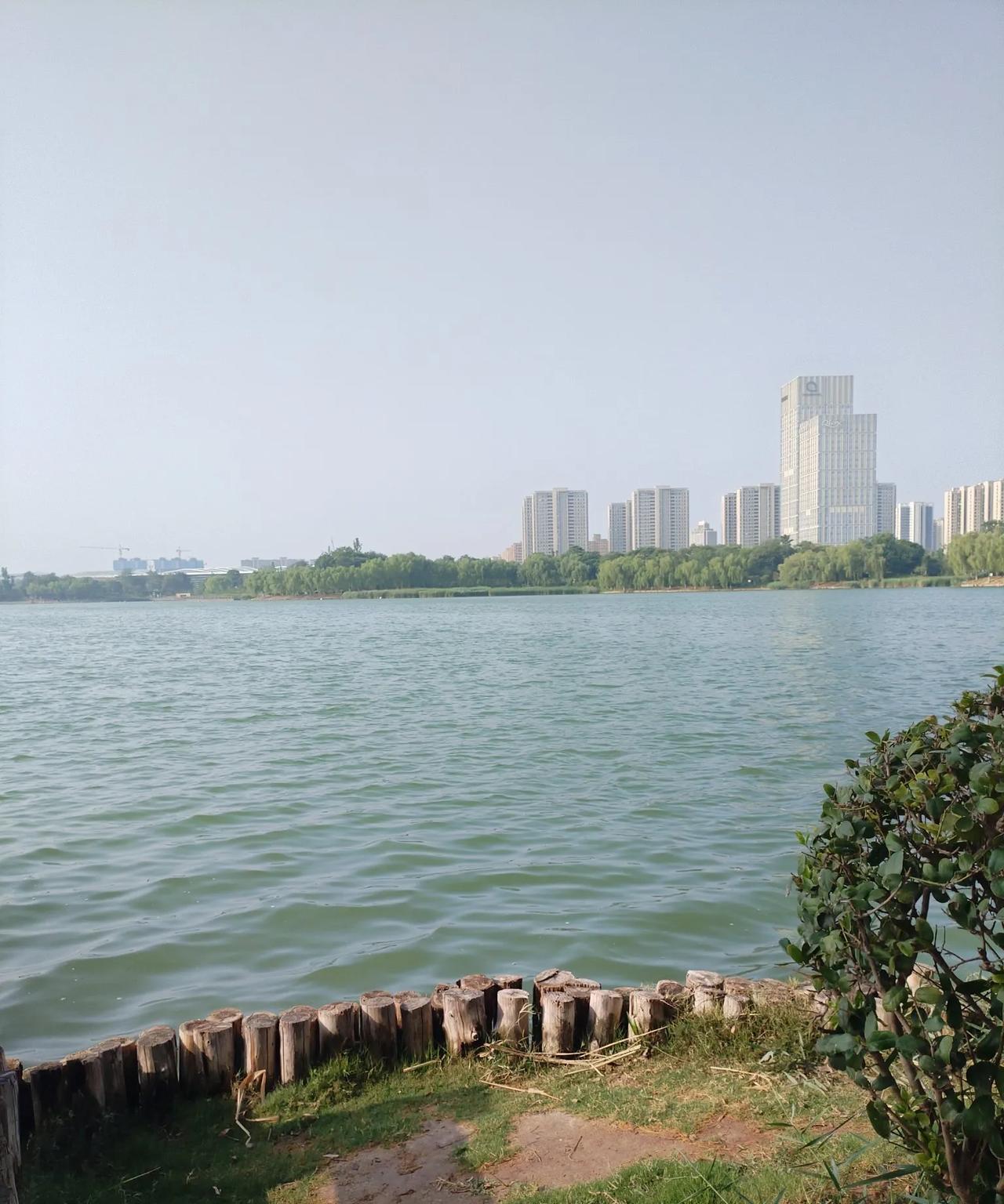 今年的鸡蛋咋啦，降价、降价，一天一个价。前几年鸡蛋六七一斤，最便宜的也要四元多一
