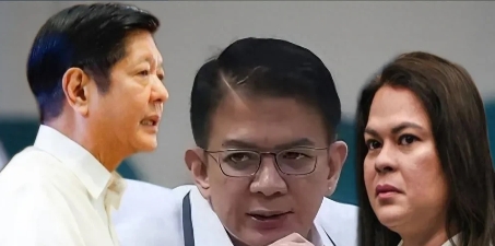 非常精明，菲律宾议长埃斯库德罗与莎拉关系其实一般，甚至在一年前还是剑拔弩张，
埃