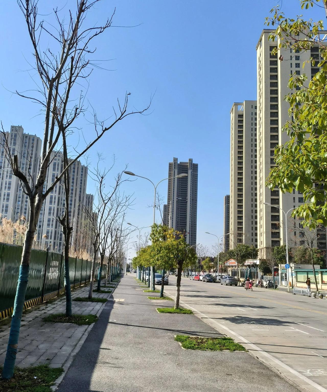 建议国家建立租房子网站，包括各种房子，公租房，私人房子，老破小，一切租房子合法权