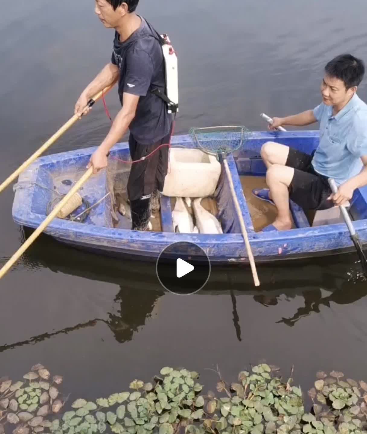 天塌了、地陷了！
老钓点被人攻陷了[流泪][捂脸]
昨晚想着钓鱼很兴奋，一大