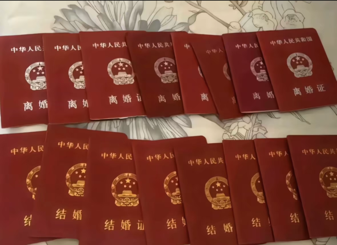 这不就是八离世家啊