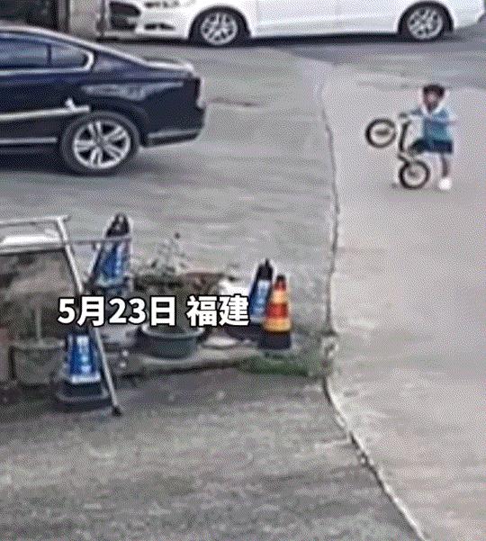 一小男孩正在骑自行车玩耍，不料一只未拴绳子的狗突然朝男孩追咬过来，所幸一旁的孩子
