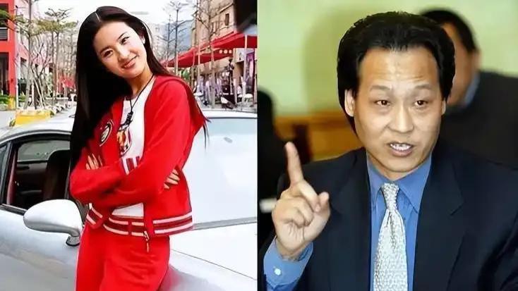 陈金飞：一生情感纠葛，刘亦菲与杨采钰的“爱恨交织”