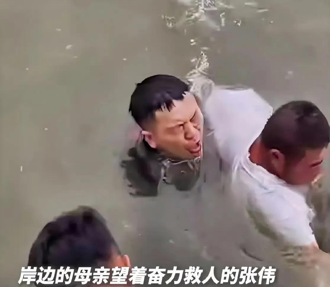张伟救人的英勇行为，不仅让国人深深感动，也让许多外国人深深佩服！
评论区里有许多