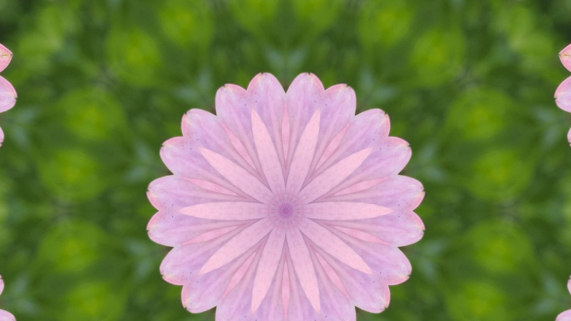 简单一点，糊涂一点，幸福就会多一点