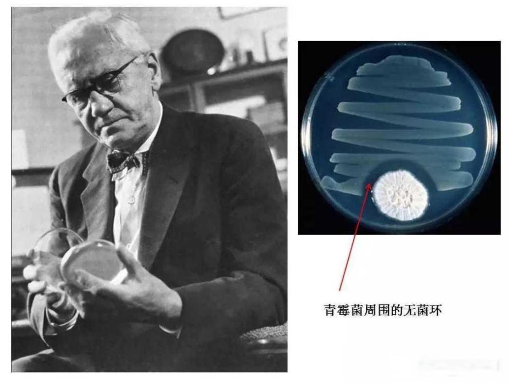 [太阳]1922年，一个英国人在做实验时，在培养皿中添加了一点自己的鼻涕，没想到