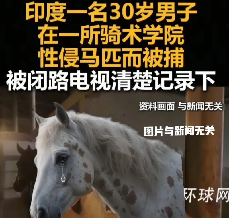 环球网这波太秀了
上上周，印度当局封禁了环球时报，理由是传播不实信息。
昨天咱们