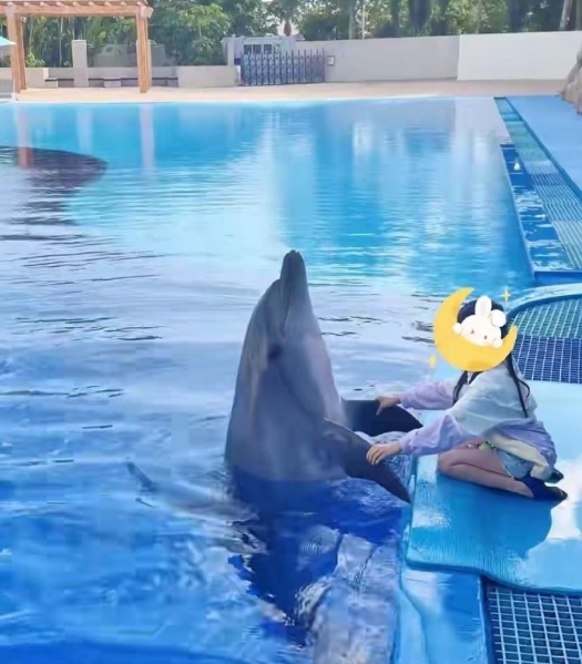 付辛博老婆三亚度假，7岁女儿很瘦，个子高，颖儿年轻苗条像姐姐 ​​​
