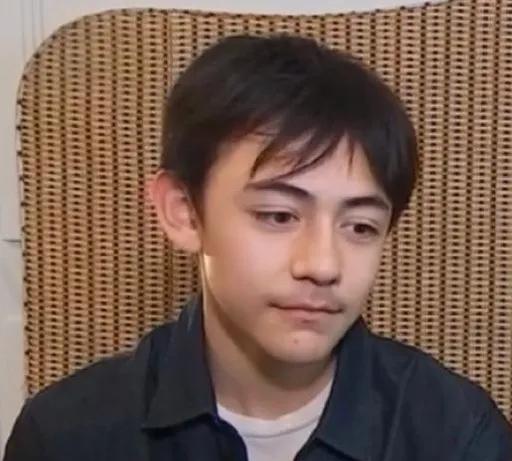 近日刘烨14岁的儿子诺一出息了，诺一上了法国新闻联播，在新闻上诺一用流利的法语和