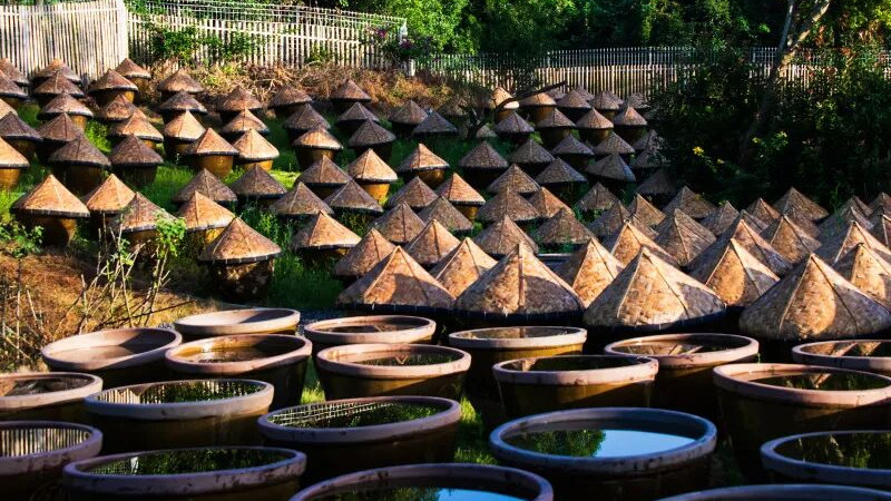 三代匠心守一缸，古法酿造酱油的百年“无添加”传承