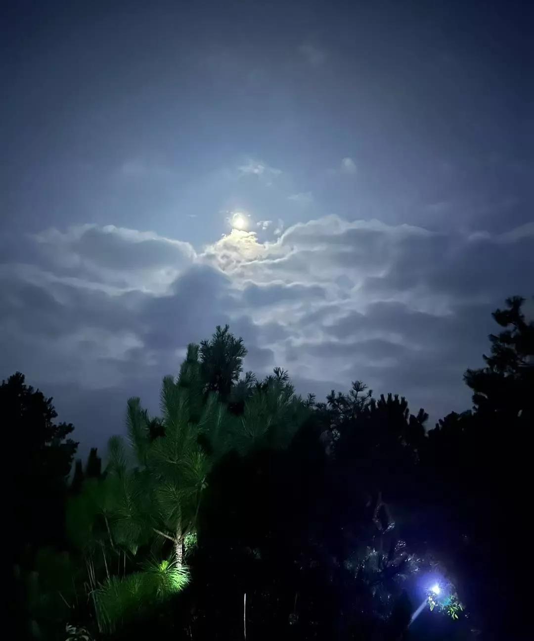 捡菌子的快乐我体会到了
别人问给捡得了，就是不出不出，冒克
#野外找菌子# #老
