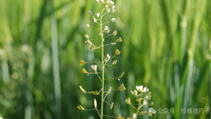 身体很容易积“寒”的一个地方，每天常按2个穴位，助力驱寒暖身