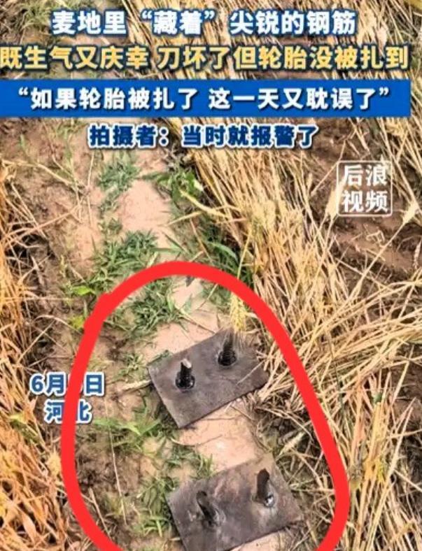 6月5日，河北女子收割麦子时发现麦田里有两根新焊的钢筋，担心扎坏收割机轮胎，于是
