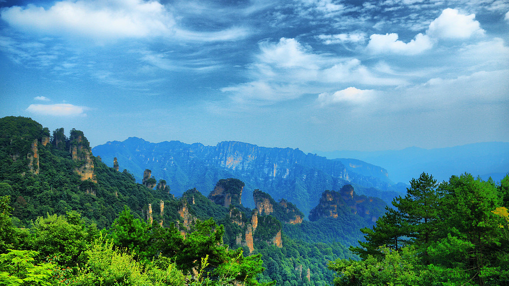 一种最笨的人，五个字