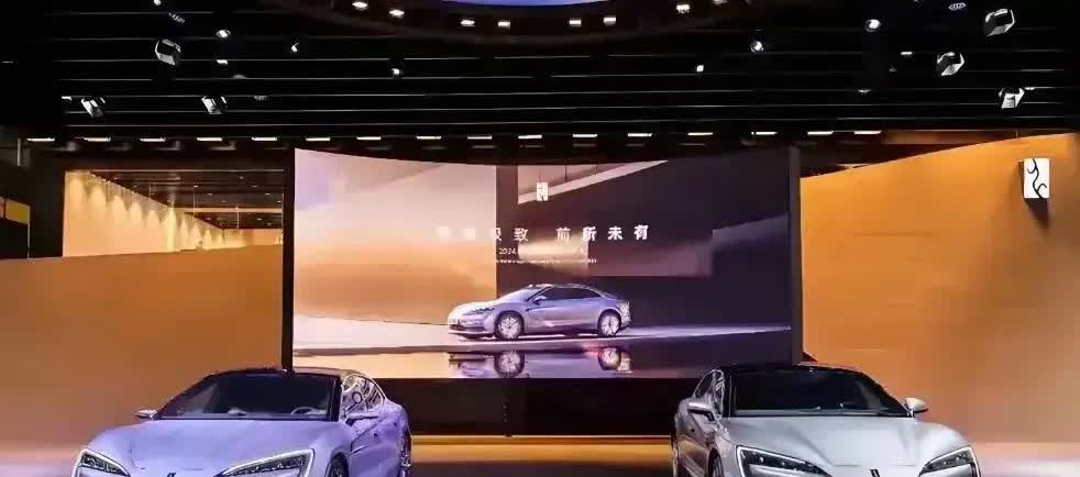有专家预测未来国产车企品牌估计只剩下这5家：
1、比亚迪，可能性占比99%
