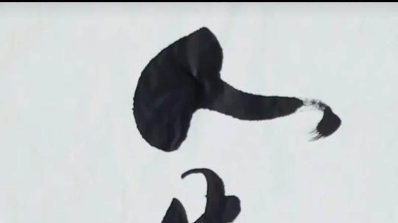 真正的命运，要靠自己修。