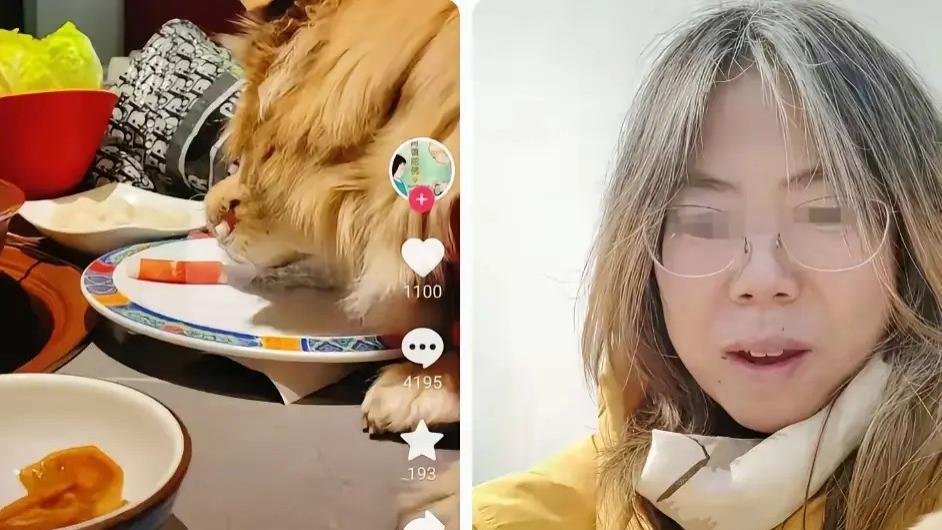 狗舔盘子人加油，一个人的快乐引发一群人的不适，极度膨胀的自我中心主义，却让餐厅花百万买单