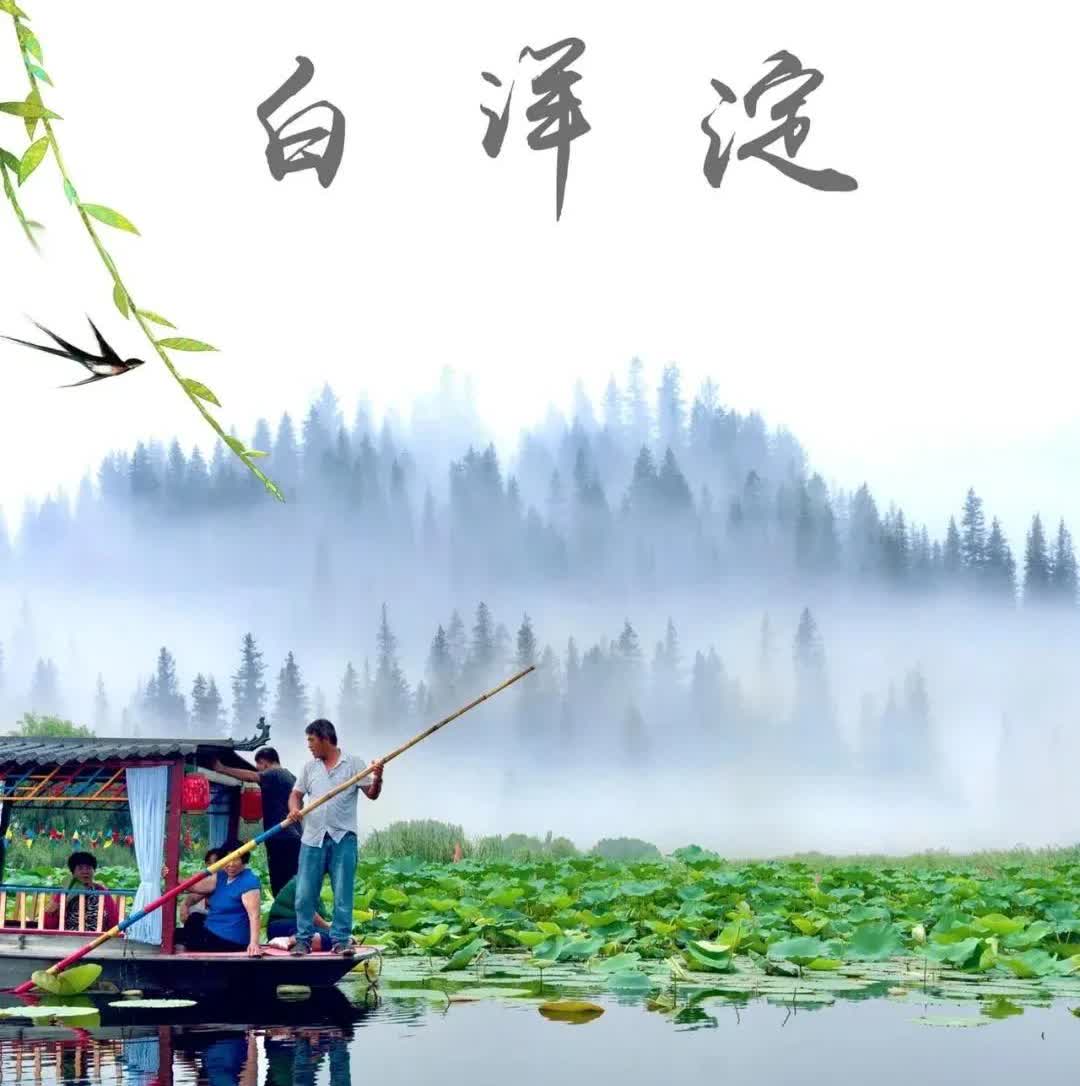 白洋淀又出事了！这回是钓鱼的和村民干起来了。
白洋淀这事儿可太有看头了！钓鱼的