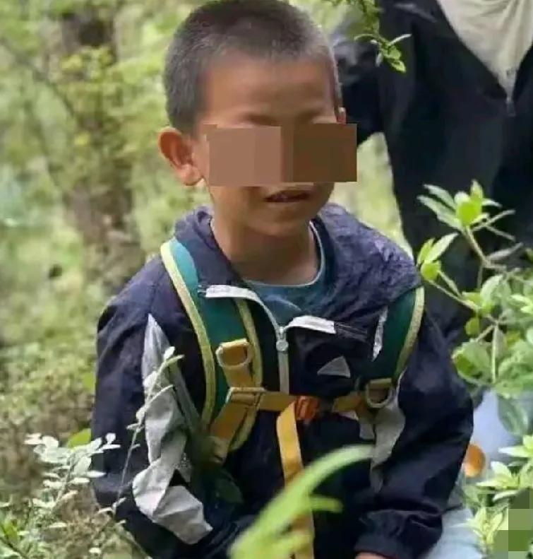 近日，在大理苍山一名带自闭症的8岁男孩，因参加户外夏令营进入苍山时走失，整整4天