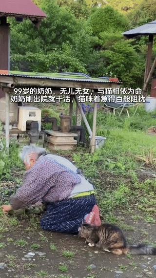 “心真要碎了！”一99岁的老奶奶，一生无儿无女，与一只猫咪相依为命。某天，老奶奶
