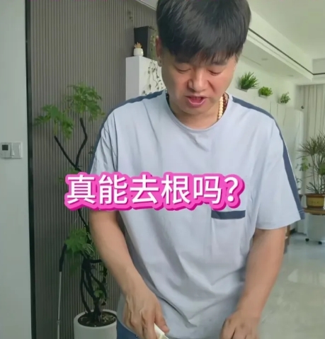 我看过国务院新闻“赞”刀郎的视频，因为国家要宣传中国文化，当然要有典型，只说饺子