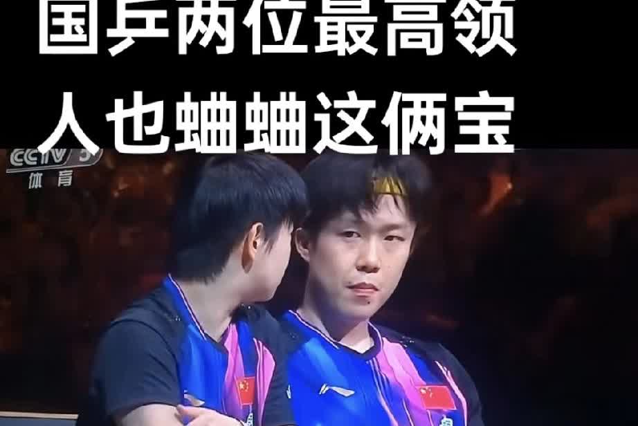 王楚钦更忙

王楚钦赛场上很忙一天三赛，
王楚钦在网络上更忙。

王楚