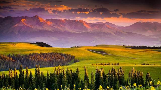 高密度纤维袋FSC认证棉纸袋加工定制可印刷LOGO服装T 恤卫衣包装