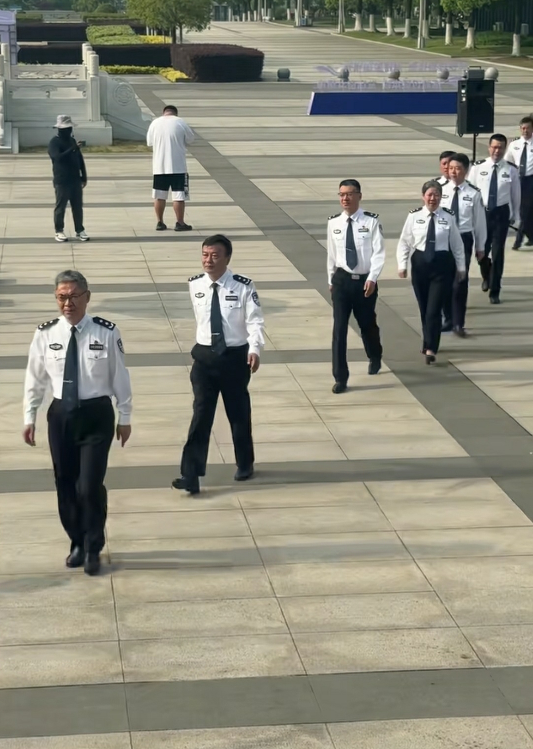 他们都是什么级别的呢？
