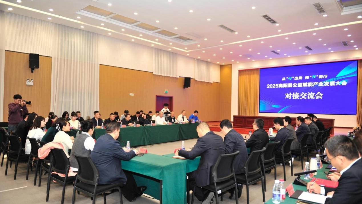 《城市漫步》会客厅助力高阳县公益赋能产业招商大会
