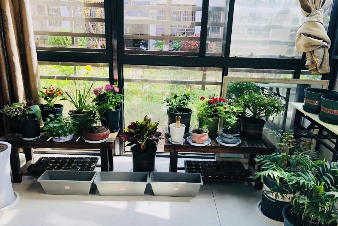 不是说写的东西不能评论，有观点可以讨论，请文明用语，当然欢迎。
但是故意说脏话，