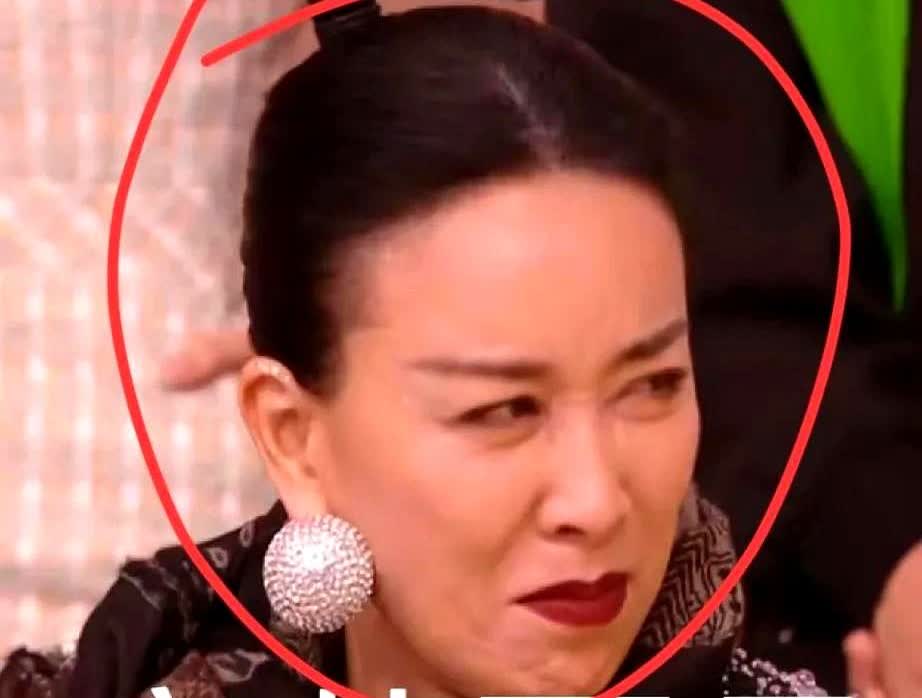 天道好轮回，苍天饶过谁

最近刷到那英长春演唱会的消息

听说现场几千个