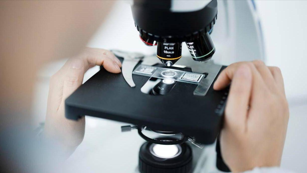 Bamtone班通 金相显微镜赋能产业升级，助力中国高端制造崛起