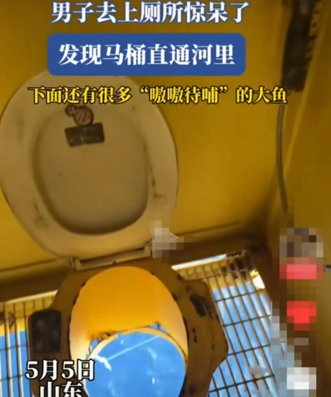 山东，男子去某地上厕所，发现马桶没有下水道设置，而是直接和江河相通。仔细一看，碧