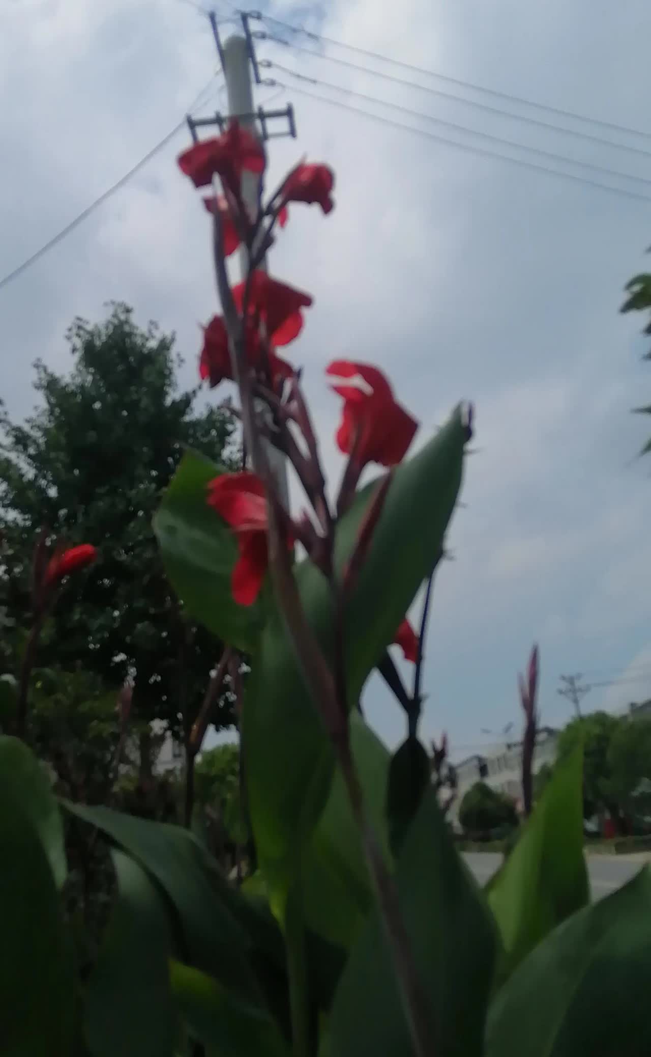 人真是一样生，百样的死啊！
今天我出去拿快递，又碰到了一个老人跟我们讲，她们村